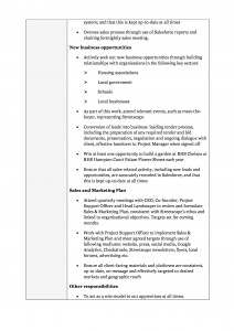 Streetscape_JobDescription_BusDevExecutive_direct-page-2